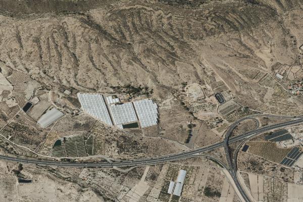Subasta de Finca rústica en Alicante/Alacant - SubastaFácil