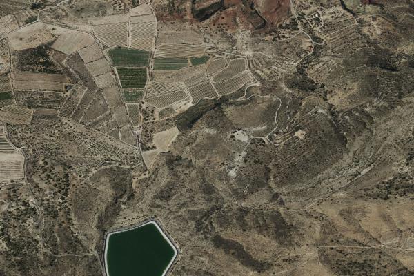 Vista aérea de vivienda en Elche (Alicante/Alacant)