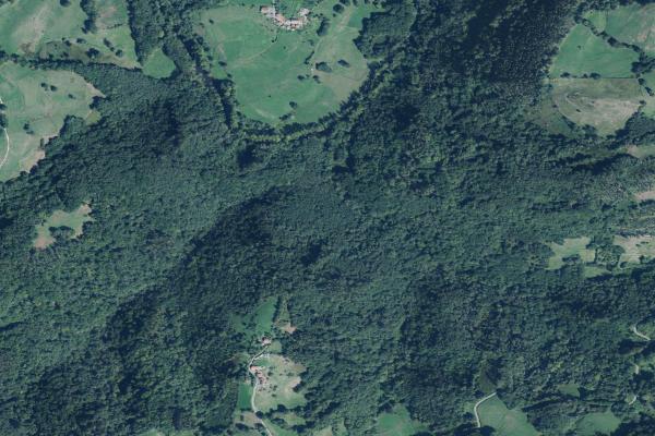Subasta de Trastero en Asturias - SubastaFácil