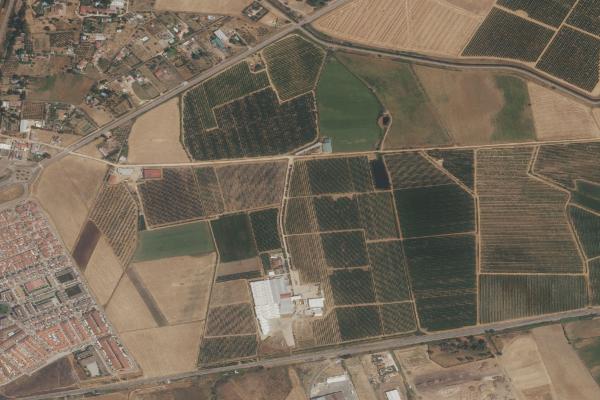 Subasta de Finca rústica en Badajoz - SubastaFácil