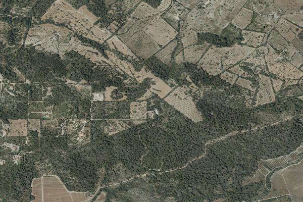 Subasta de Vivienda en Illes Balears - SubastaFácil