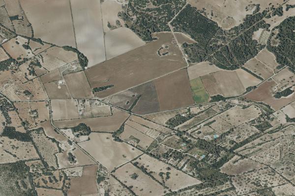 Subasta de Finca rústica en Illes Balears - SubastaFácil