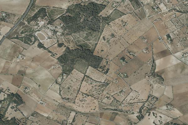 Subasta de Vivienda en Illes Balears - SubastaFácil