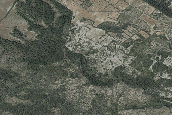 Subasta de Vivienda en Illes Balears - SubastaFácil
