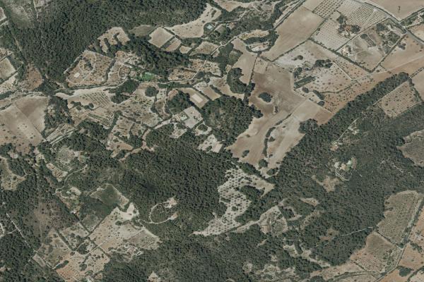 Subasta de Finca rústica en Illes Balears - SubastaFácil