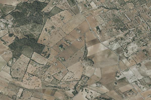 Subasta de Finca rústica en Illes Balears - SubastaFácil