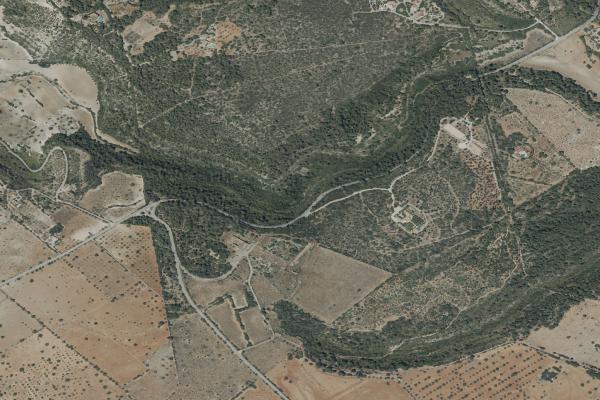 Subasta de Finca rústica en Illes Balears - SubastaFácil