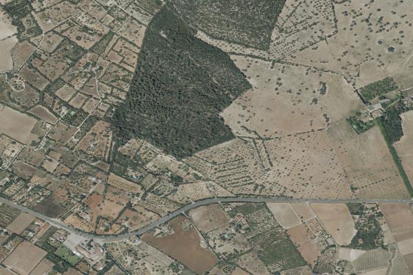 Subasta de Garaje en Illes Balears - SubastaFácil