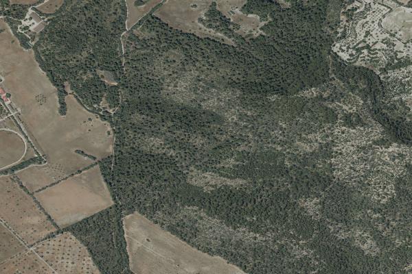 Vista aérea de vivienda en Santa Margalida (Illes Balears)