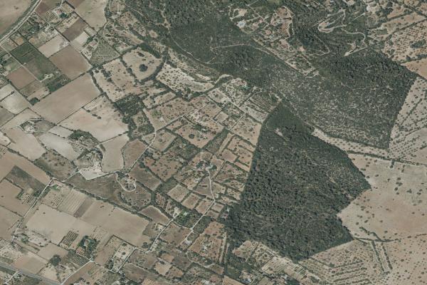 Vista aérea de vivienda en Palma (Illes Balears)