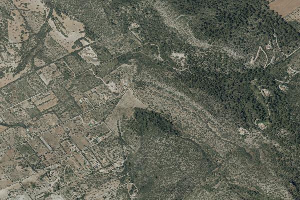 Vista aérea de vivienda en cala Millor Son Servera (Illes Balears)