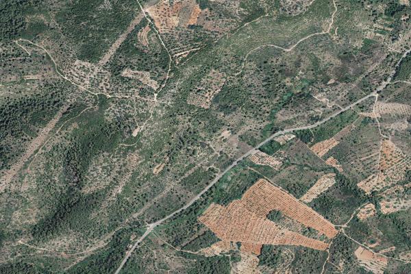 Castellón/Castelló