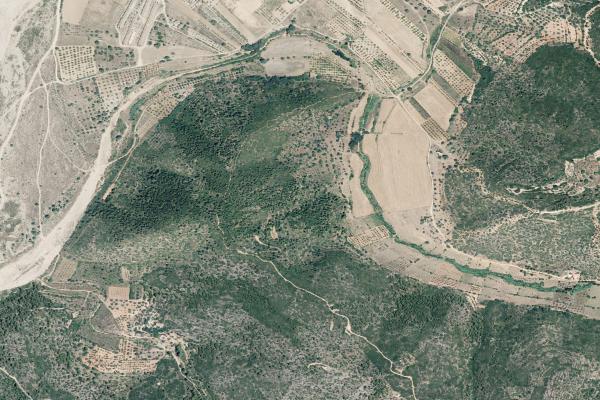 Castellón/Castelló