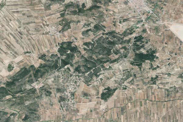 Castellón/Castelló