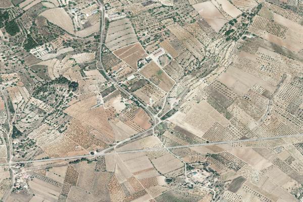 Castellón/Castelló