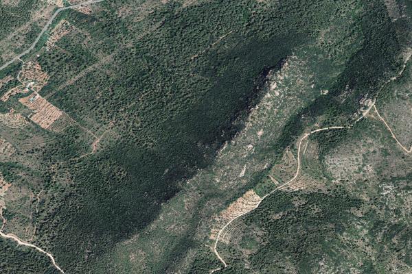 Castellón/Castelló