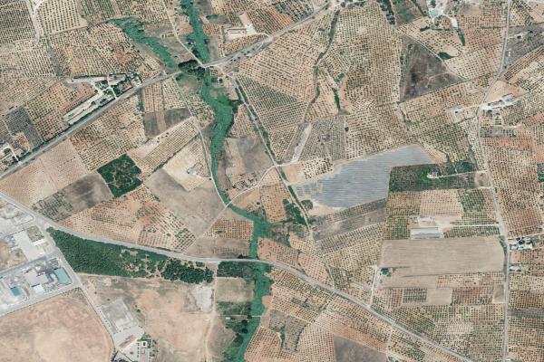 Castellón/Castelló