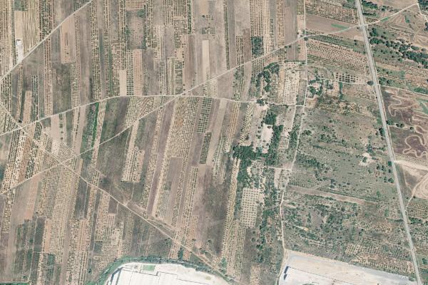 Castellón/Castelló