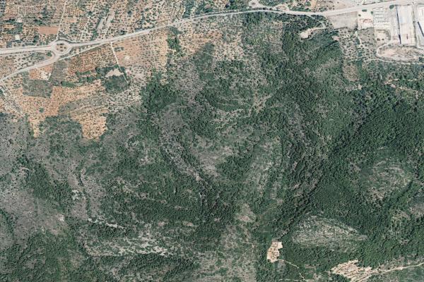 Castellón/Castelló