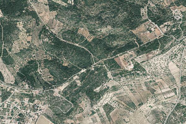 Castellón/Castelló