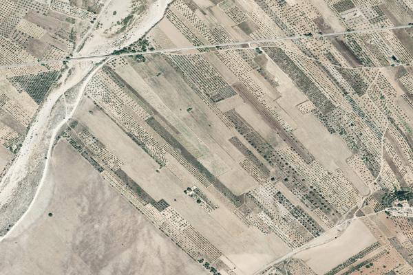 Castellón/Castelló