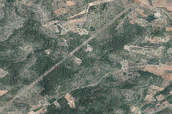 Castellón/Castelló