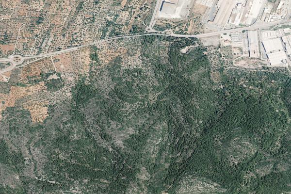 Castellón/Castelló