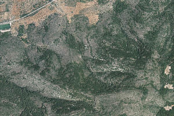 Castellón/Castelló