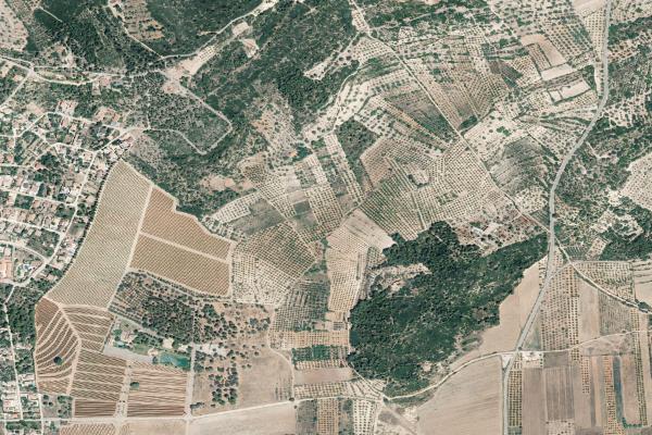 Castellón/Castelló