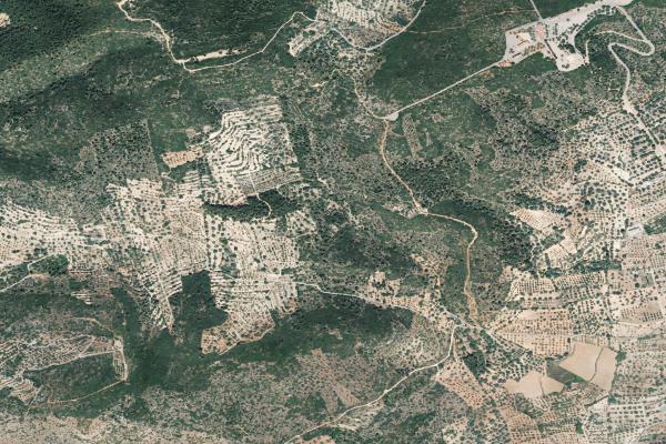 Castellón/Castelló