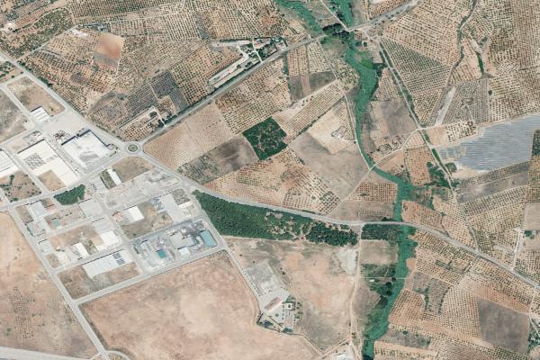 Castellón/Castelló