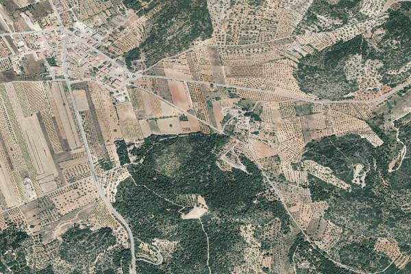 Castellón/Castelló