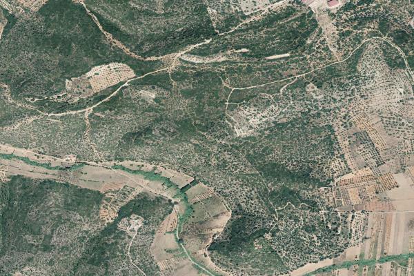 Castellón/Castelló