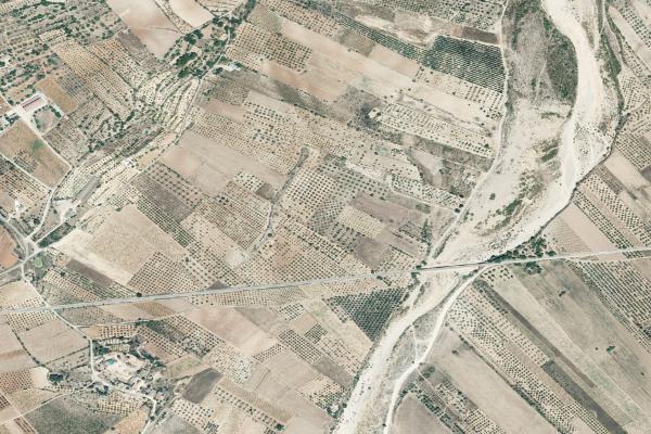 Castellón/Castelló