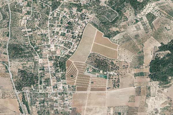 Castellón/Castelló