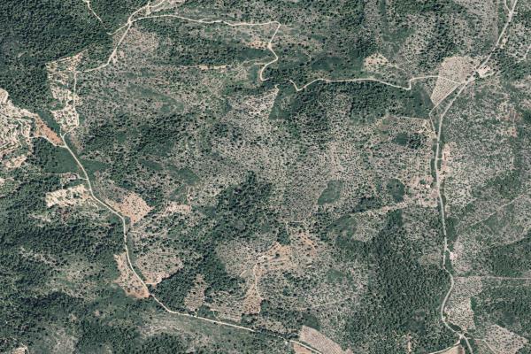 Castellón/Castelló