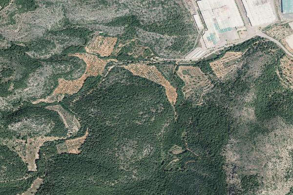 Castellón/Castelló