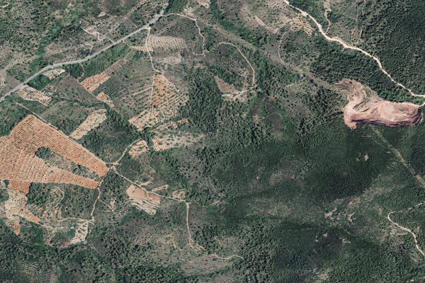 Castellón/Castelló