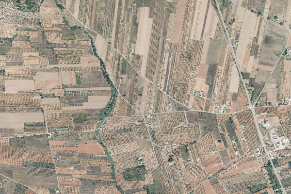 Castellón/Castelló