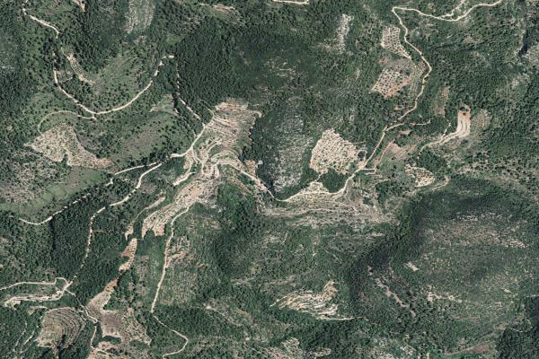 Castellón/Castelló