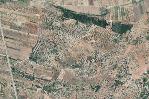 Castellón/Castelló