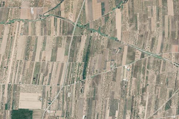 Castellón/Castelló