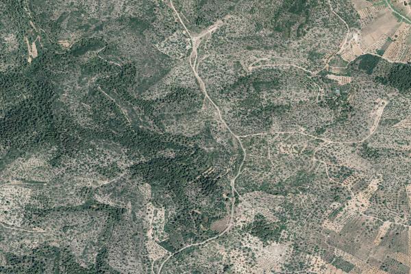 Castellón/Castelló