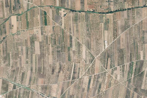 Castellón/Castelló