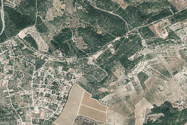 Castellón/Castelló