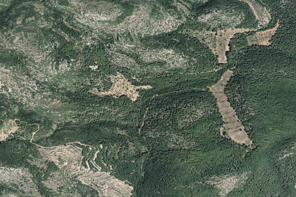 Castellón/Castelló