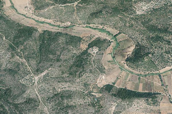 Castellón/Castelló