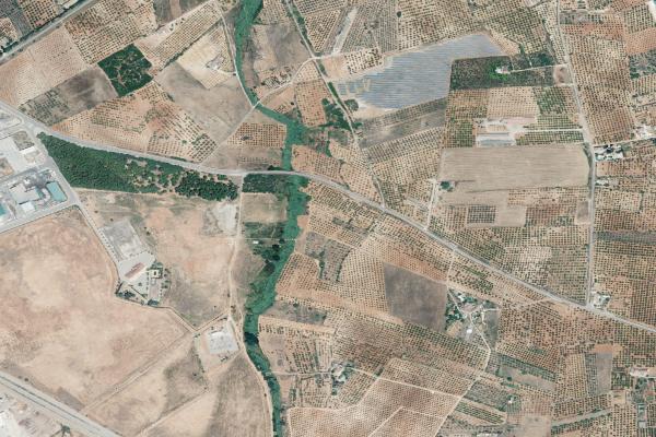 Castellón/Castelló