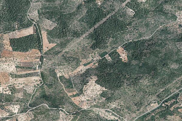 Castellón/Castelló