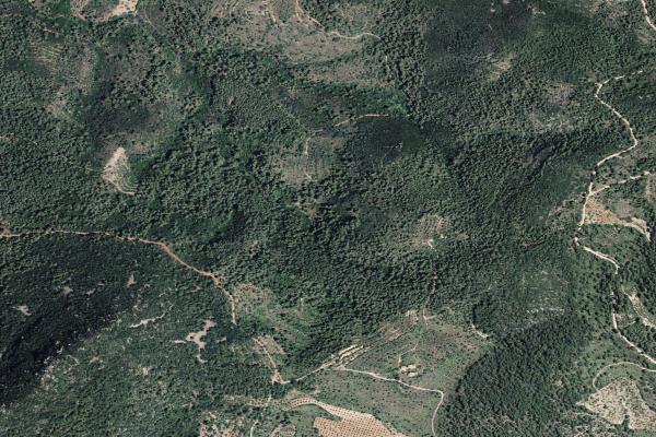 Castellón/Castelló